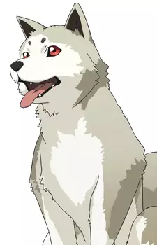 Koromaru
