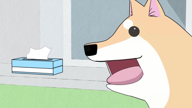 Ep. 5